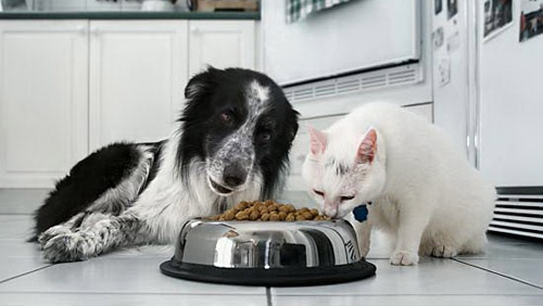 Levorato Specialista per Prodotto PetFood
